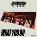 Jay Robinson & Example - What You Do (Instrumental)
