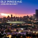 DJ Prozac - Joburg Sunset
