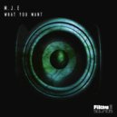 M.J.E - What You Want (Instrumental Mix)
