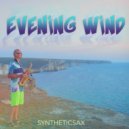 Syntheticsax - Evening Wind (Original Mix)