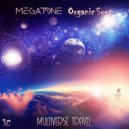 Organic Soup Vs MegaTone - Multiverse Travel