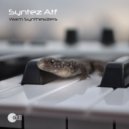Syntez Atf - Summer Night (Original Mix)