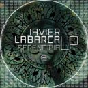 Javier Labarca - Sweat