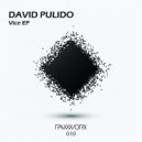 David Pulido - Vice