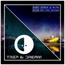 Ramz Demar & MLFR - Waves of Colours (Original Mix)