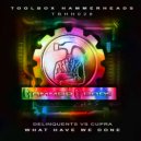 Delinquents vs Cupra - What Have We Done (Original Mix)