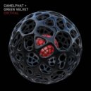 CamelPhat & Green Velvet - Critical