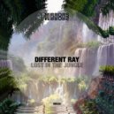 Different Ray - Lost In The Jungle