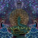 Chakraview & Cosmic Brahma - Tapasya