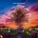 Dash Berlin & ANG - Firefly