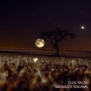Oleg Xaler - Midnight Dreams VIII (Original Mix)