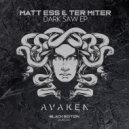 Matt Ess & Ter Miter - Beyond Two Souls (Original Mix)