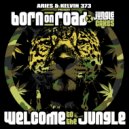 Various Artists - Born On Road presents Welcome To The Jungle