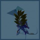Horos - Acceptance