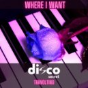 Disco Secret Travoltino - Where I want