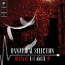 Unnatural Selection - Decay of the Angel (Original Mix)