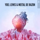 Yoel Lewis & Meital De Razon - Brave