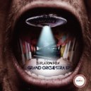 DJ Flaton Fox - Grand Orchestra
