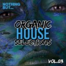 DAN T - Sharing Dreams (Original Mix)