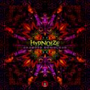 Hypnoize - Toroidal Flow