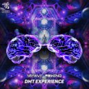 Sidewave & Rewind - DMT Experience