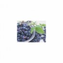 Mindfulness Healing BGM Project - Hyacinth and Tension (Original Mix)