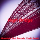 Yoshi Sushi - High bridge