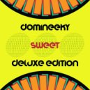 Domineeky - Disko Molotov (Original Mix)
