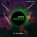 Ck Pellegrini - Techno Voices