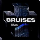 CID Ft. Gramercy - Bruises