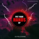 Ck Pellegrini - Put your Hands Up