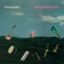 The Sharks - How Can I Give You (What You Want) ()