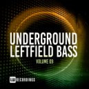 Bigseuf - Moody Hoody (Original Mix)