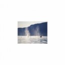 Mindfulness Healing BGM Project - Imagination and Rest (Original Mix)