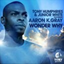 Tony Humphries, Junior White feat. Aaron K. Gray - Wonder Why (Instrumental Mix)