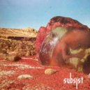 Silhouette & Elektrabel - Anular Rings