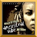 Realm of House feat. La Nena - Ancestral Vibe