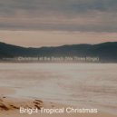 Bright Tropical Christmas - Christmas at the Beach - Once in Royal David's City
