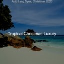 Tropical Christmas Luxury - Christmas at the Beach Ding Dong Merrily on High