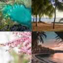 Easy Tropical Christmas - Hark the Herald Angels Sing, Chrismas Shopping ()