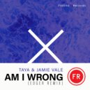 TAYA. & Jamie Vale - Am I Wrong