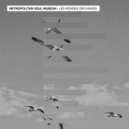 Metropolitan Soul Museum - Les Mondes Des Images (Original Mix)