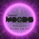 Felix The Cat - Falling For you
