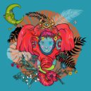 Draso - Coral (Original Mix)