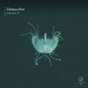 Sleepy & Boo - Radius (Original Mix)