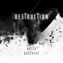 Nasty Brothers - Destruction