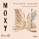 Darius Syrossian - Harlem Lights (Prunk Remix)