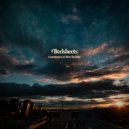 Cosmicosmo & Slow Shudder - Bedsheets (Original Mix)