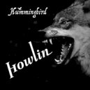 Hummingbird & 3000 Worlds - Holwin'