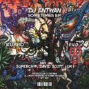 Dj Entwan - Sometimes (David Scott (UK) Remix)